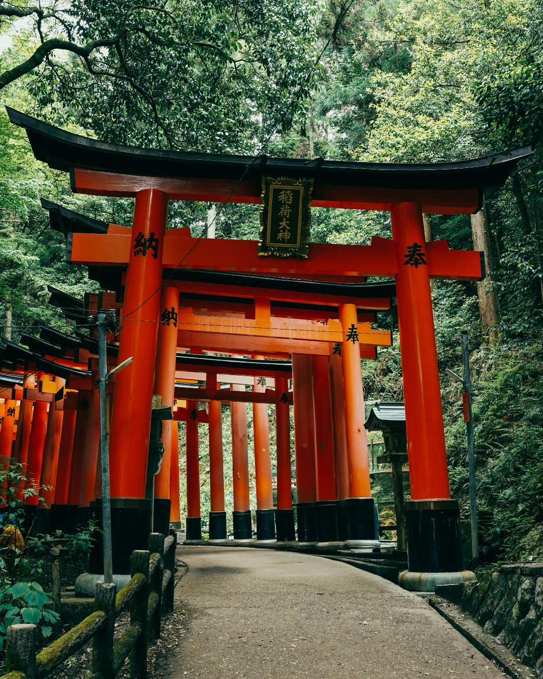Honeymoon in Kyoto